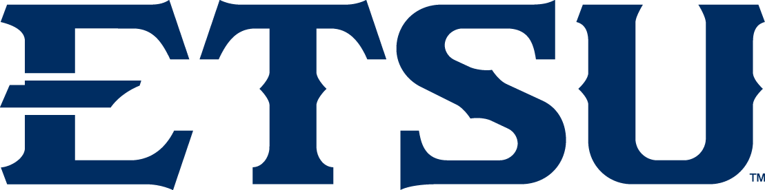ETSU Buccaneers 2014-Pres Wordmark Logo v2 iron on transfers for T-shirts